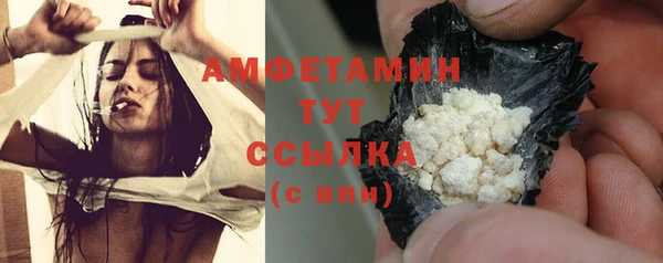 дживик Инта