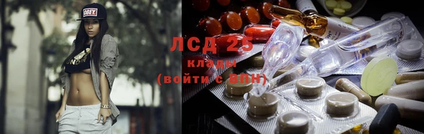 дживик Инта