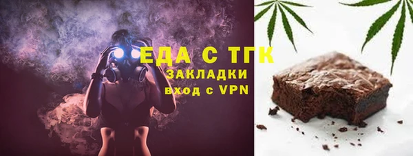 дживик Инта