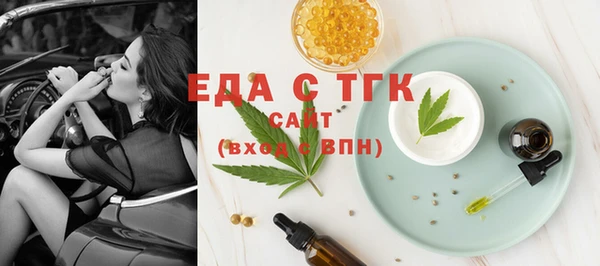 дживик Инта