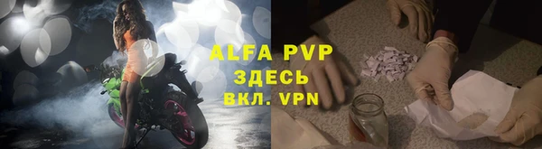 дживик Инта