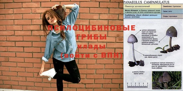 амфетамин Инсар