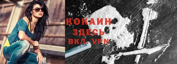 дживик Инта
