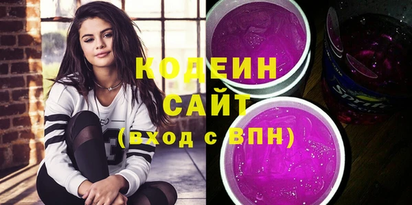 дживик Инта