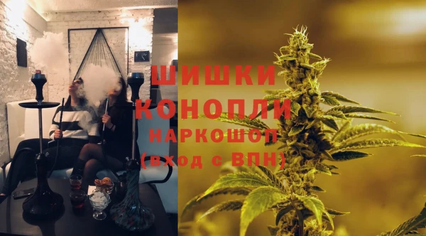 дживик Инта