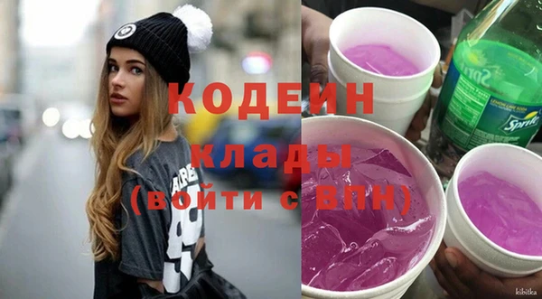 дживик Инта