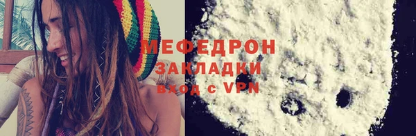 дживик Инта