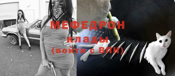 молекула духа Каменка