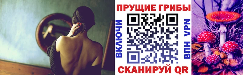 Галлюциногенные грибы прущие грибы  Купить  Гусь-Хрустальный 